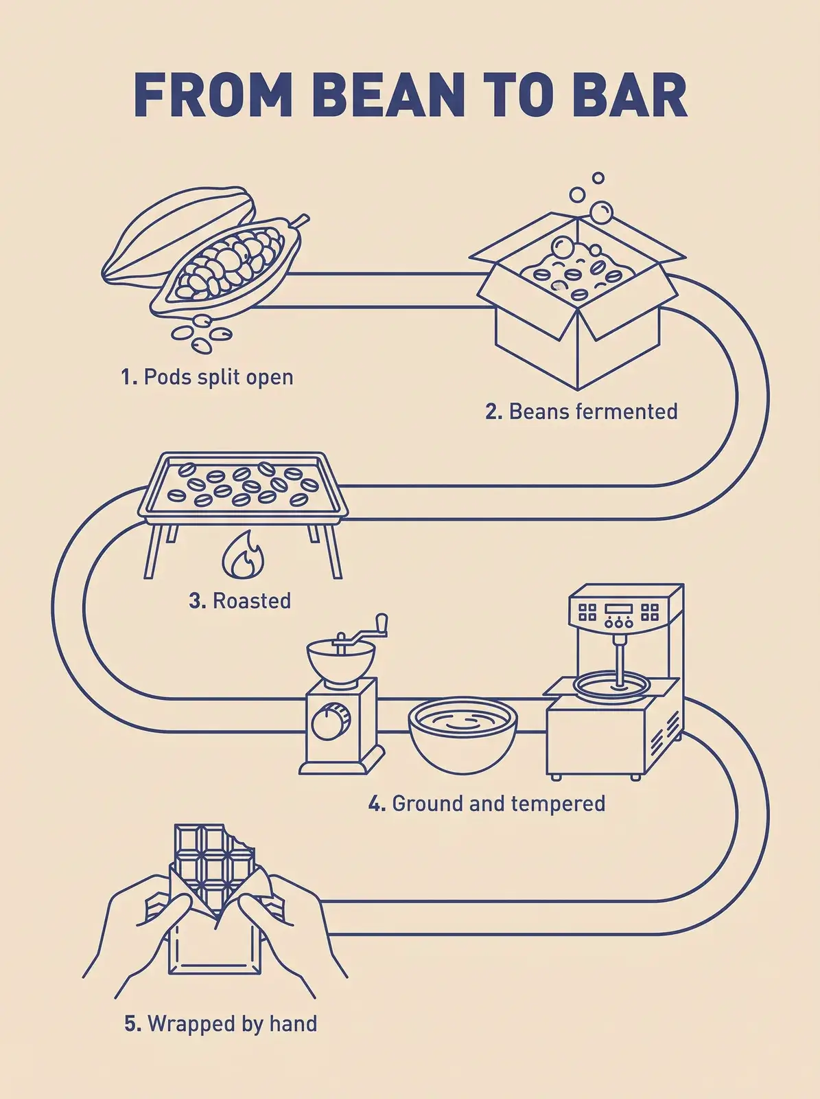 Blue line-drawing infographic titled From bean to bar, with five numbered steps along a winding path from split cocoa pods to a bar wrapped by hand