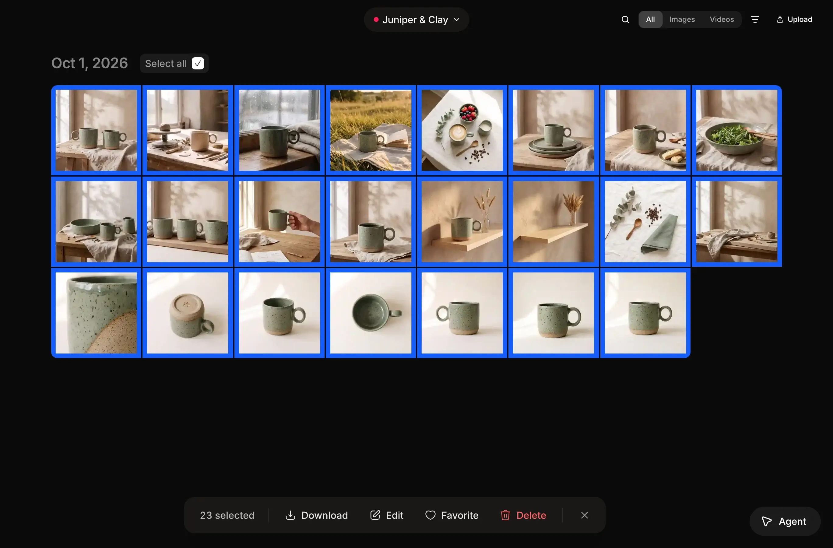 Every image from one day selected with Select all, and the toolbar at the bottom showing Download, Edit, Favorite and Delete.