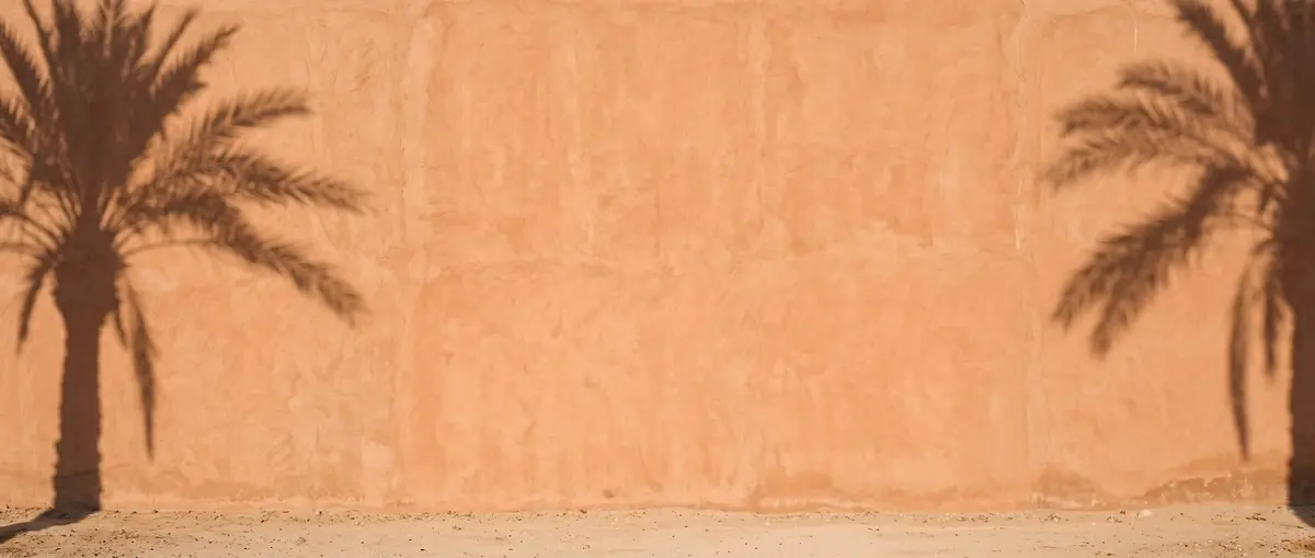 A very wide 21:9 banner of a terracotta stucco wall in late sun, a date palm shadow at each end, the long center plain, a strip of sand below